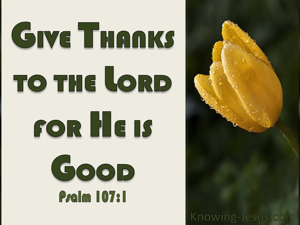 Psalm 107:1 Give Thanks To The Lord (yellow)